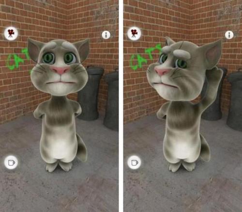 Скриншот бесплатного приложения Talking Tom Cat