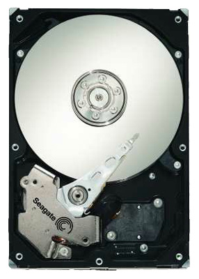 Купить Жесткий диск Seagate ST31000640SS (ST31000640SS) фото 1