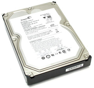 Купить Жесткий диск Seagate ST31000340NS (ST31000340NS) фото 2