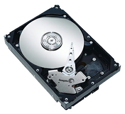 Купить Жесткий диск Seagate ST31000340AS (ST31000340AS) фото 1