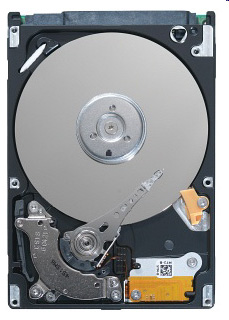    Seagate ST9160314AS (ST9160314AS)  1