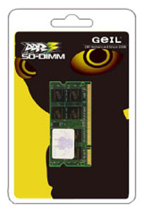   Geil GS32GB1066C7SC