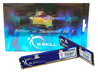   G.SKILL F3-10600CL8D-4GBHK