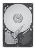   Seagate ST9300605SS  #1