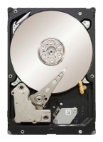   Seagate ST33000650SS  #1