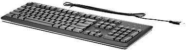 Клавиатура HP QY776AA Black USB фото #1