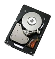 Жесткий диск IBM 40K1025 фото #1