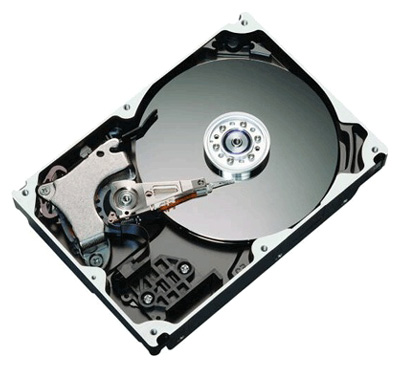 Жесткий диск Seagate STM3160815AS