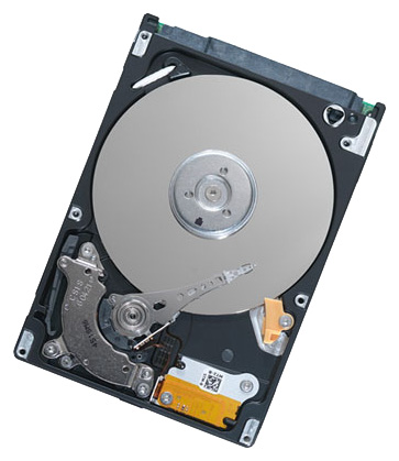   Seagate ST9160411AS  #1