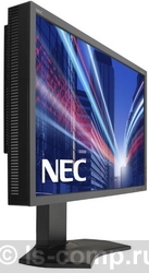   NEC P242W (60003419)  2