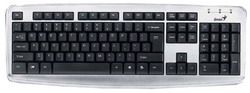 Клавиатура Genius KB-110X Silver USB