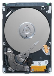   Seagate ST9500325AS