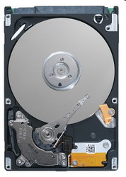   Seagate ST9320423AS
