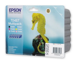    Epson EPT04874010 6 .