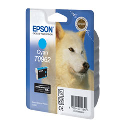   Epson EPT09624010 