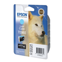   Epson EPT09654010 -