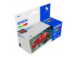   Epson C13T027401 