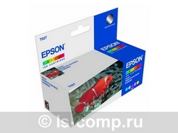   Epson C13T027401   #1