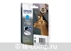   Epson C13T13024010      #1
