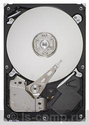   Seagate ST3250318AS  #1
