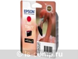   Epson EPT08774010   #1