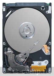   Seagate ST9250410AS  #1