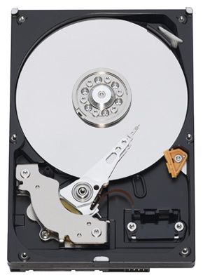 ������ ������� ���� Western Digital Caviar Blue 1 �� (WD10EALS) ���� 1