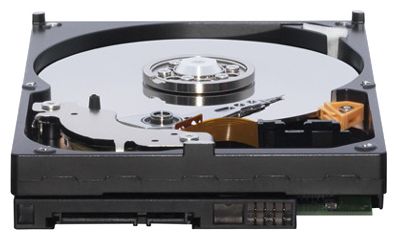 ������ ������� ���� Western Digital Caviar Blue 1 �� (WD10EALS) ���� 2