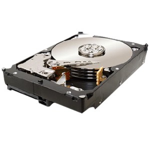 ������ ������� ���� Seagate ST31000424SS (ST31000424SS) ���� 2