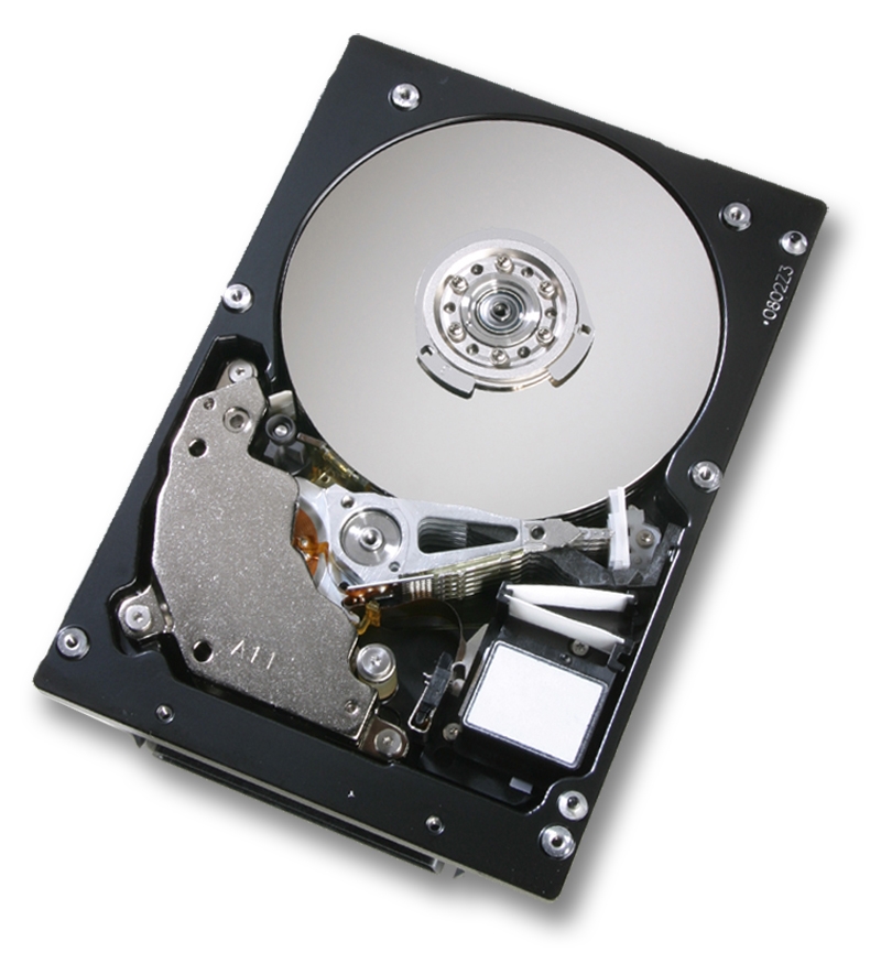 Купить Жесткий диск IBM 42D0747 (42D0747) фото 1 Купить Жесткий диск IBM 42D0747 (42D0747) фото 1