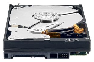 Купить Жесткий диск Western Digital WD2003FYYS (WD2003FYYS) фото 2 Купить Жесткий диск Western Digital WD2003FYYS (WD2003FYYS) фото 2