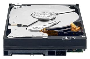 Купить Жесткий диск Western Digital WD2503ABYX (WD2503ABYX) фото 1 Купить Жесткий диск Western Digital WD2503ABYX (WD2503ABYX) фото 1