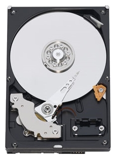 ������ ������� ���� Western Digital WD3200AAKX (WD3200AAKX) ���� 1