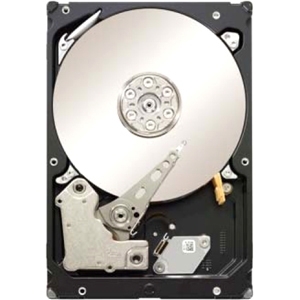 ������ ������� ���� Seagate ST1000NM0031 (ST1000NM0031) ���� 2