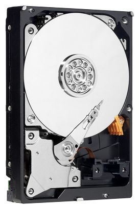 ������ ������� ���� Western Digital WD30EZRX (WD30EZRX) ���� 1