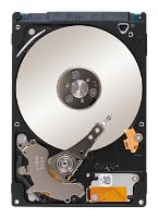 ������ ������� ���� Seagate ST250LT021 (ST250LT021) ���� 1