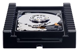 ������ ������� ���� Western Digital WD3000HLHX (WD3000HLHX) ���� 2