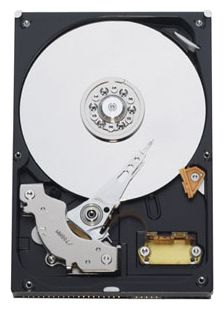������ ������� ���� Western Digital Caviar Blue 250 �� (WD2500AVJS) ���� 2