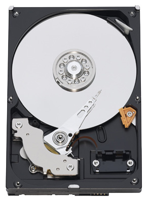 ������ ������� ���� Western Digital WD6400AACS (WD6400AACS) ���� 1