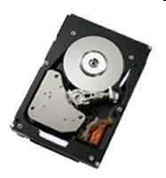 ������ ������� ���� IBM 42D0612 (42D0612) ���� 2