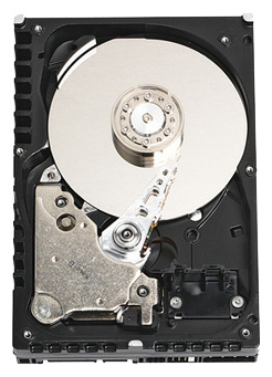 ������ ������� ���� Western Digital WD360ADFD (WD360ADFD) ���� 1