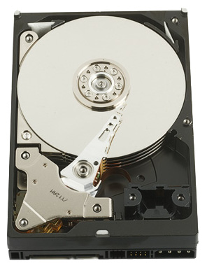 Купить Жесткий диск Western Digital WD4000YS (WD4000YS) фото 1 Купить Жесткий диск Western Digital WD4000YS (WD4000YS) фото 1