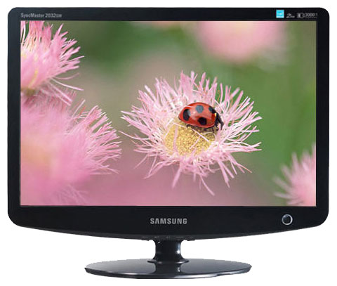������ ������� Samsung SyncMaster 2032GW (LS20PEJSFV) ���� 2