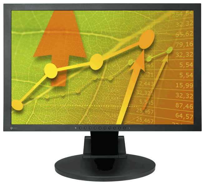 ������ ������� Eizo FlexScan EV2411WSE (EV2411WSE) ���� 2