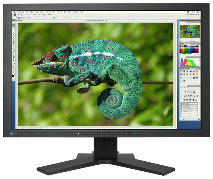 ������ ������� Eizo ColorEdge CG242W (CG242WK) ���� 2