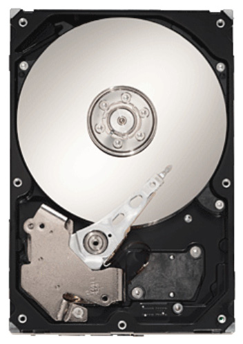 ������� ���� Seagate ST320005N4D1AS-RK