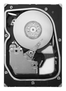 ������� ���� Seagate ST3450802SS