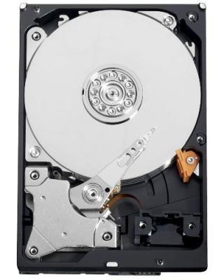 ������� ���� Western Digital AV-GP 1,5 ��