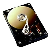 Жесткий диск Fujitsu S26361-F3204-L545 Жесткий диск Fujitsu S26361-F3204-L545