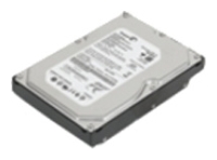 Жесткий диск IBM 43N3411 Жесткий диск IBM 43N3411